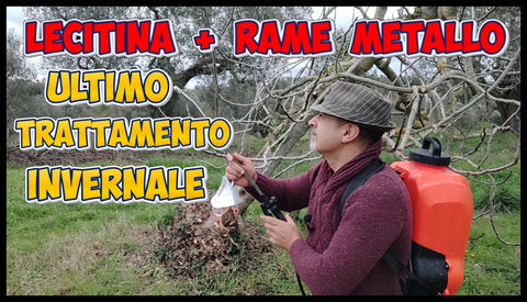 TRATTAMENTO INVERNALE PER ALBERI DA FRUTTO - I CONSIGLI DI PIERGIORGIO CECCARELLI