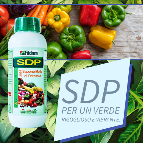 Concime SDP  a base di sapone molle di potassio concentrato |