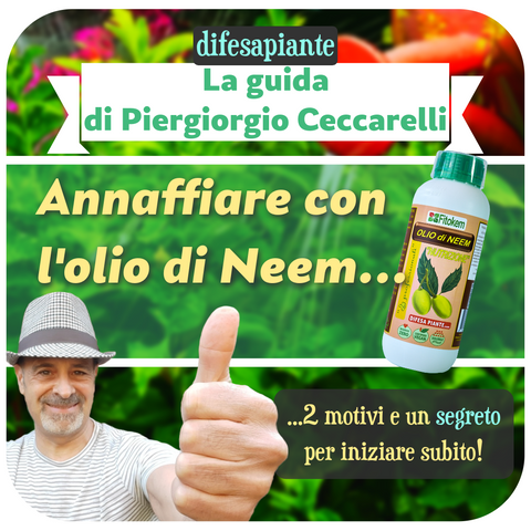 neem nutrizione difesapiante uso radicale piergiorgio ceccarelli natura e bellezza fitokem