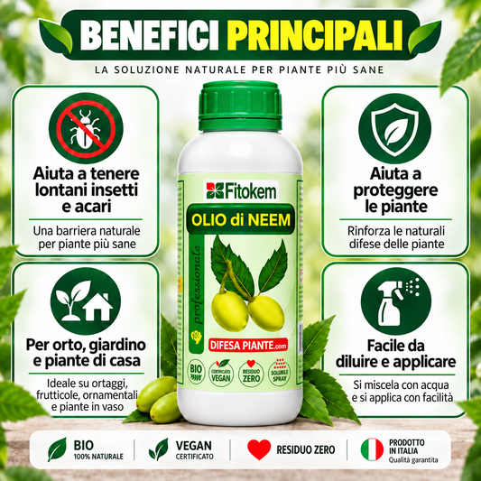 Benefici principali dell'Olio di Neem Fitokem per orto, giardino e piante