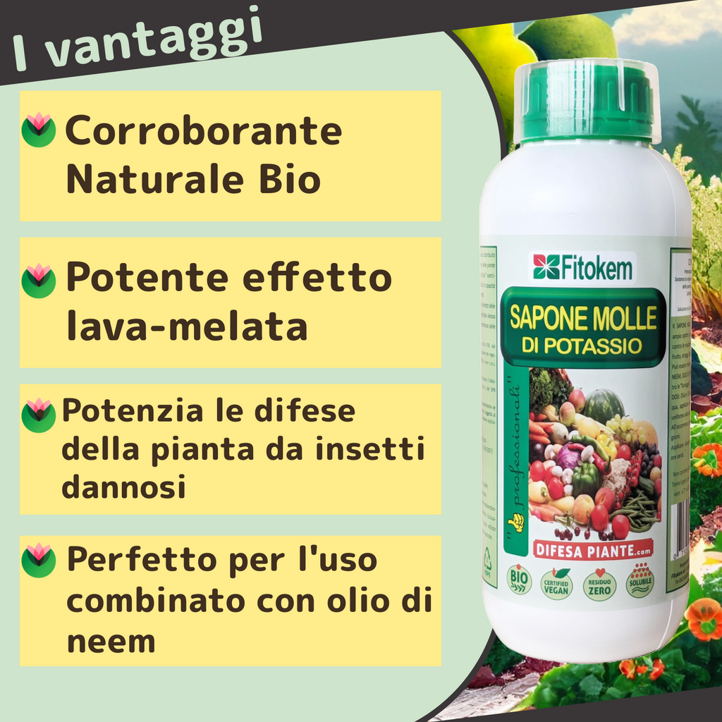 Sapone Molle Di Potassio Closter 1LT - Antiparassitario Naturale Per Piante Da Orto E Giardino - Foto 5