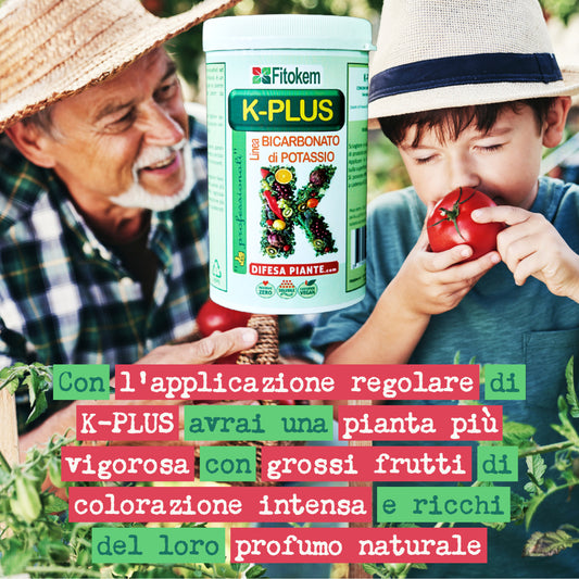 Bicarbonato di potassio concime minerale K-Plus - 1kg - Fitokem Difesa piante olio di neem biologico naturale