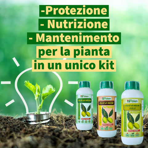 Olio di Neem 1L + Olio di Neem Gold Protezione 1L + Olio di Neem Nutrizione 1L Difesa piante olio di neem biologico naturale