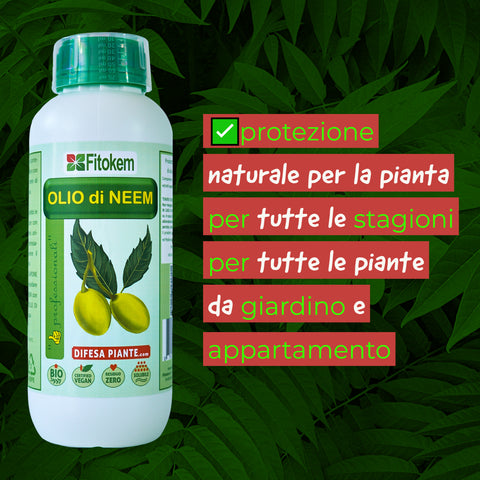 Olio di Neem 1 L Difesa piante olio di neem biologico naturale