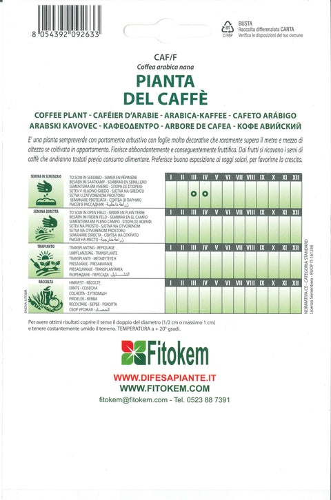 Semenze Pianta del Caff&egrave; - Sementi - Semi - Fitokem Difesa piante 