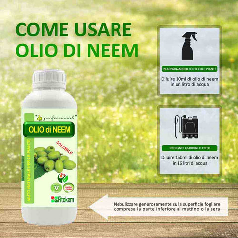 Olio di Neem + Sapone molle 1L - KIT Difesa piante olio di neem biologico naturale