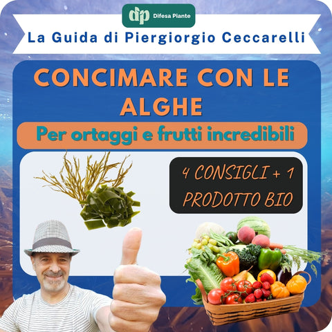 CONCIMARE CON LE ALGHE PER ORTAGGI E FRUTTI SANI E FORTI - DI PIERGIORGIO CECCARELLI