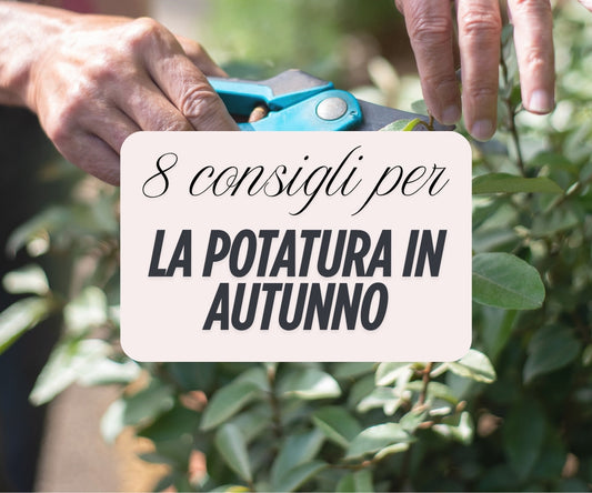 Potatura autunnale - invernale: i consigli, i prodotti e le buone pratiche per una potatura efficace e sicura