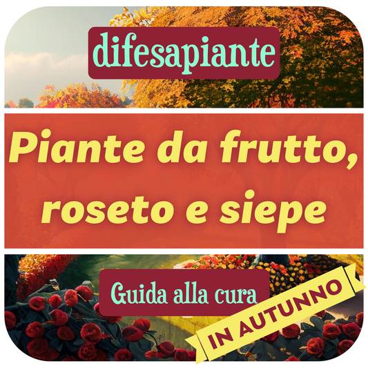 Autunno: guida alla cura delle piante da frutto, siepe e roseto