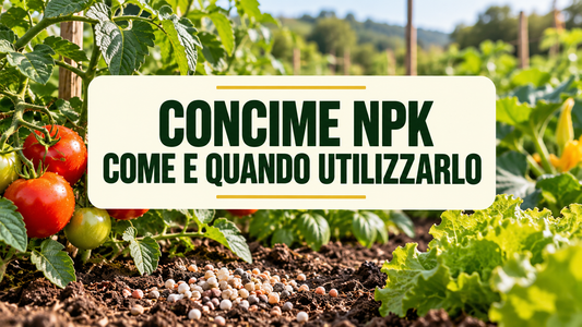 Concime NPK - come utilizzare il fertilizzante minerale