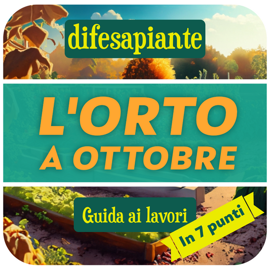 l'orto a ottobre: guida ai lavori