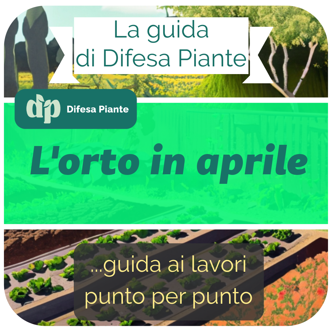 L'orto ad Aprile - Guida passo per passo