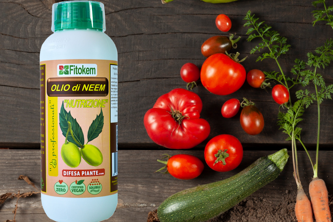 La nuova frontiera per l'orto: Olio di Neem Nutrizione