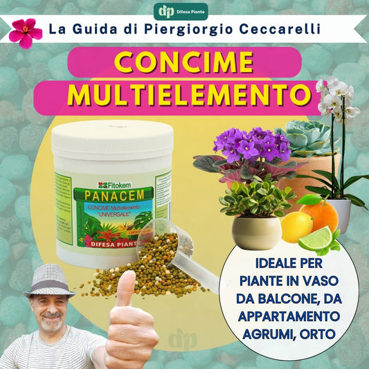 PANACEM CONCIME MULTIELEMENTO PER TUTTE LE PIANTE | LA GUIDA DI PIERGIORGIO CECCARELLI