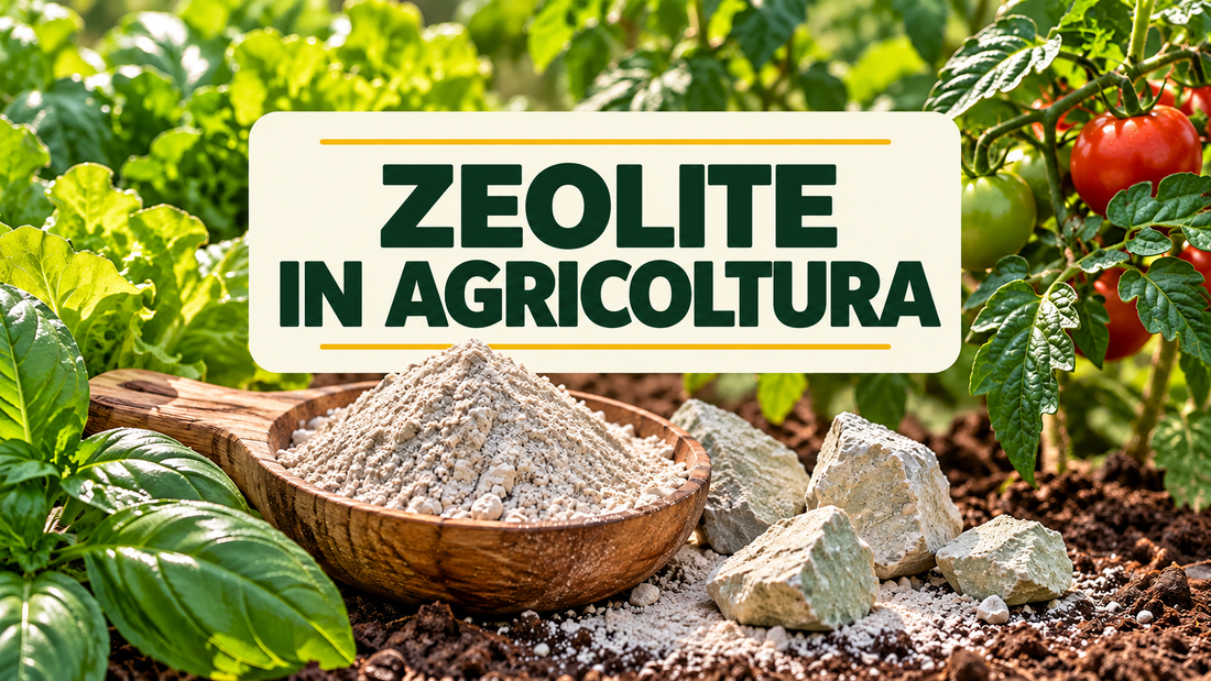 Zeolite in agricoltura