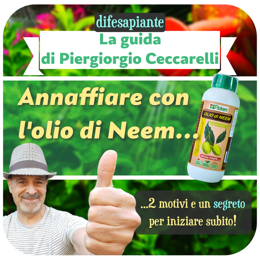 Annaffiare con l'olio di neem