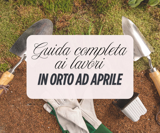 L'orto ad Aprile - Guida passo per passo