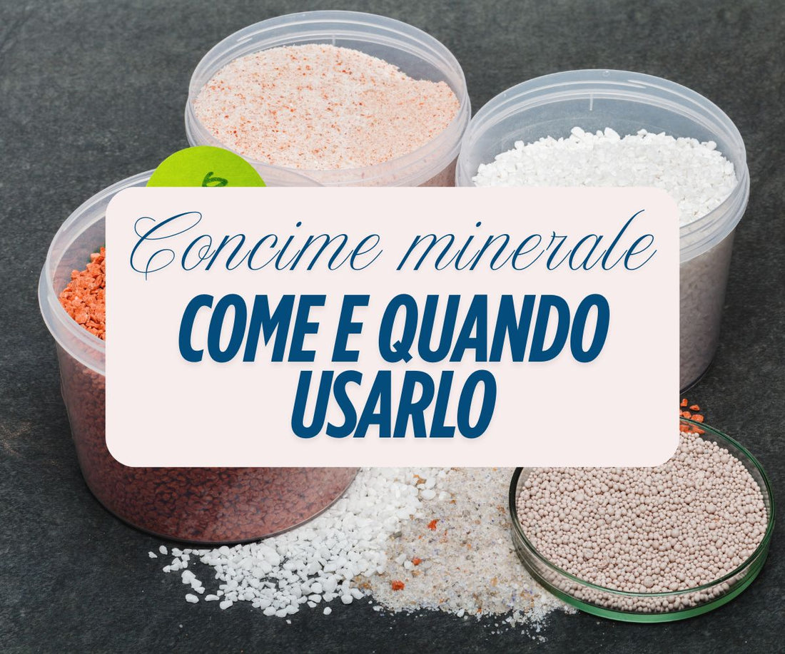 Concime NPK - come utilizzare il fertilizzante minerale
