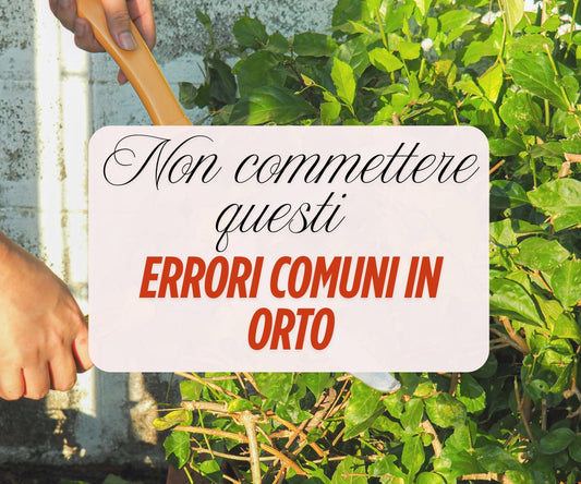 Errori nell’orto in primavera: cosa non fare per avere piante sane e produttive