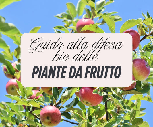 Guida BIO alla difesa e mantenimento delle piante da frutto - Calendario