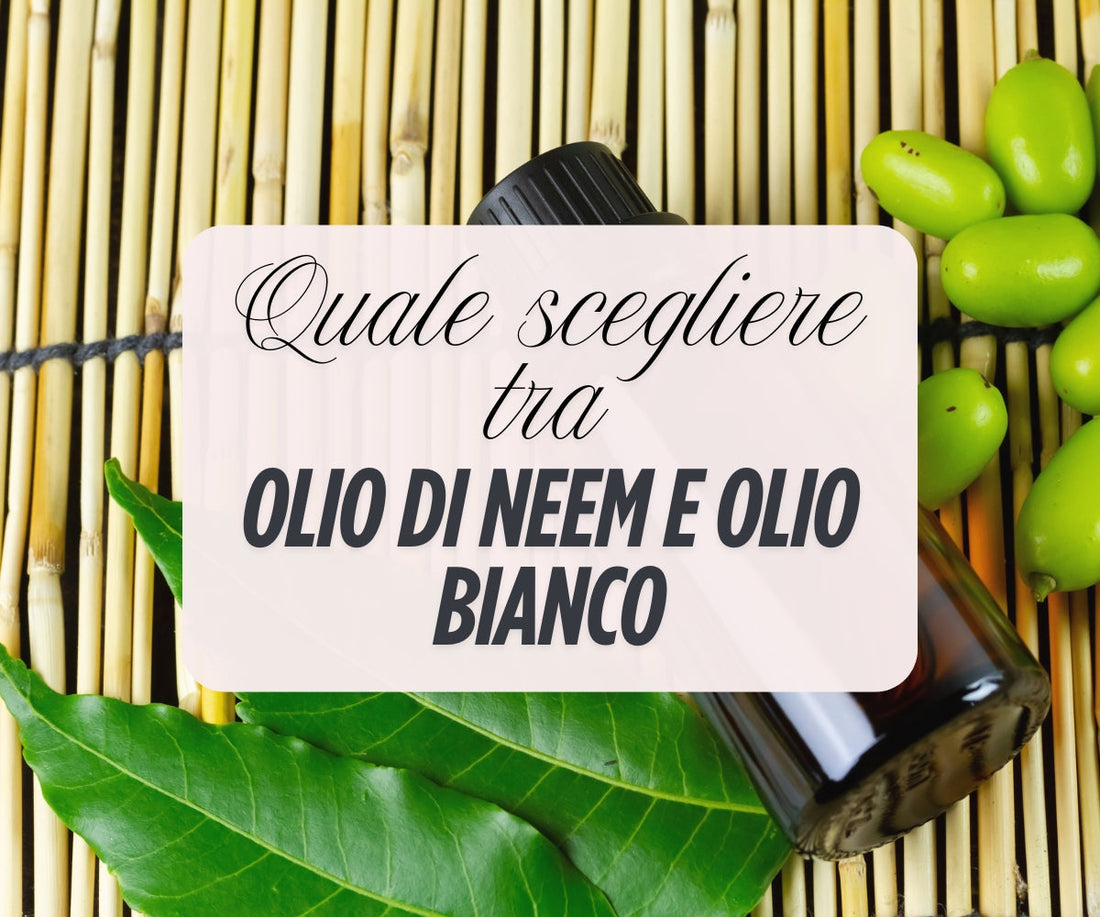 Olio di neem e olio bianco: differenze, utilizzo e quale scegliere