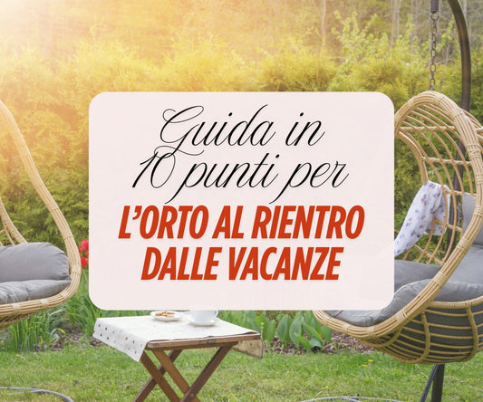 Cosa fare nell'orto al rientro dalle vacanze - 10 consigli utili per non sbagliare