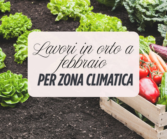Lavori nell'orto a febbraio: consigli per ogni zona climatica in Italia