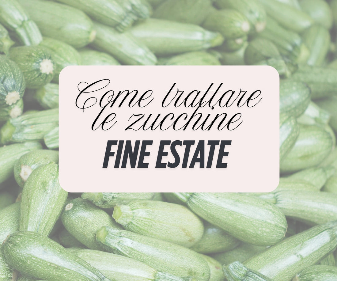 Trattamento delle zucchine fine estate