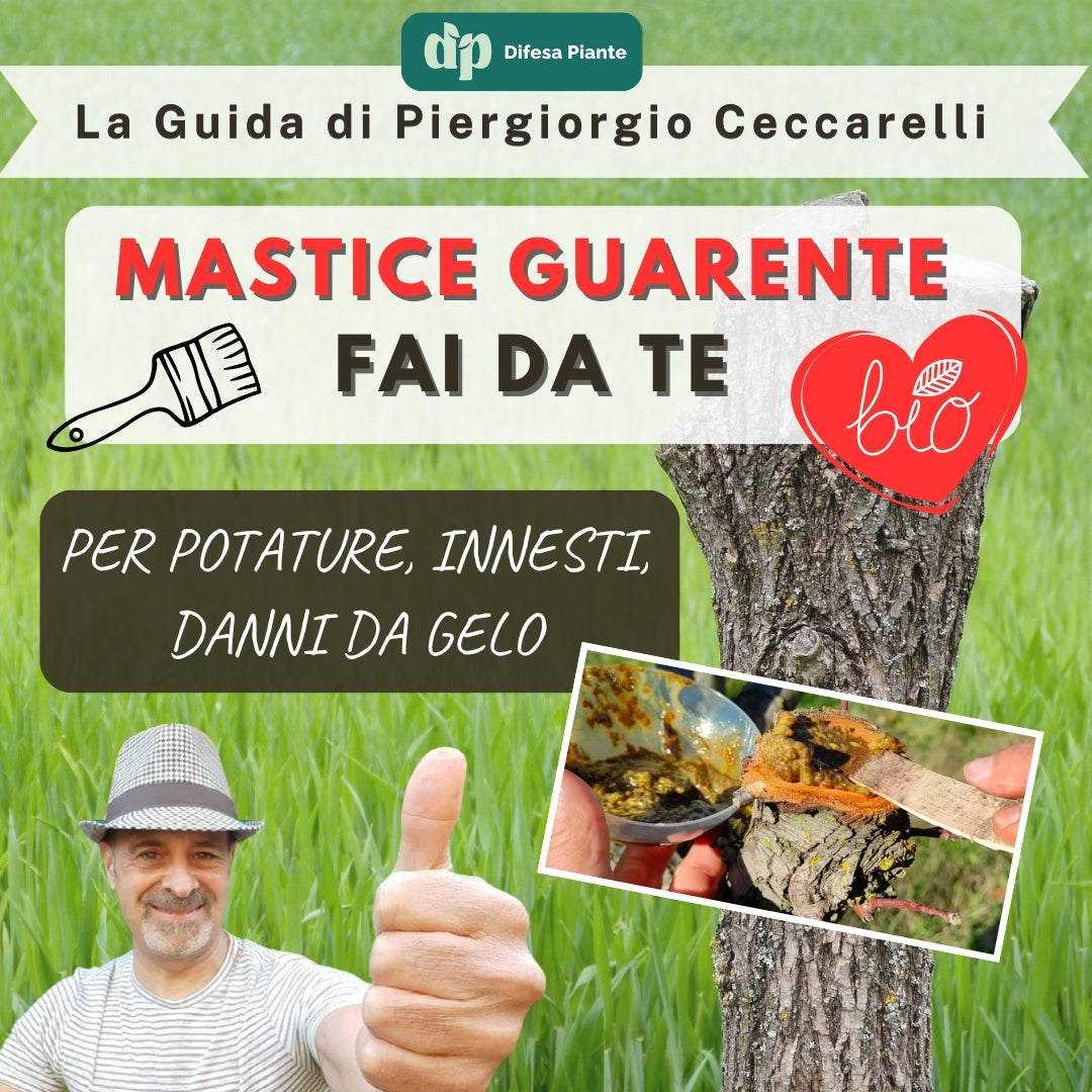MASTICE CICATRIZZANTE GUARENTE FAI DA TE | LA GUIDA DI PIERGIORGIO CECCARELLI