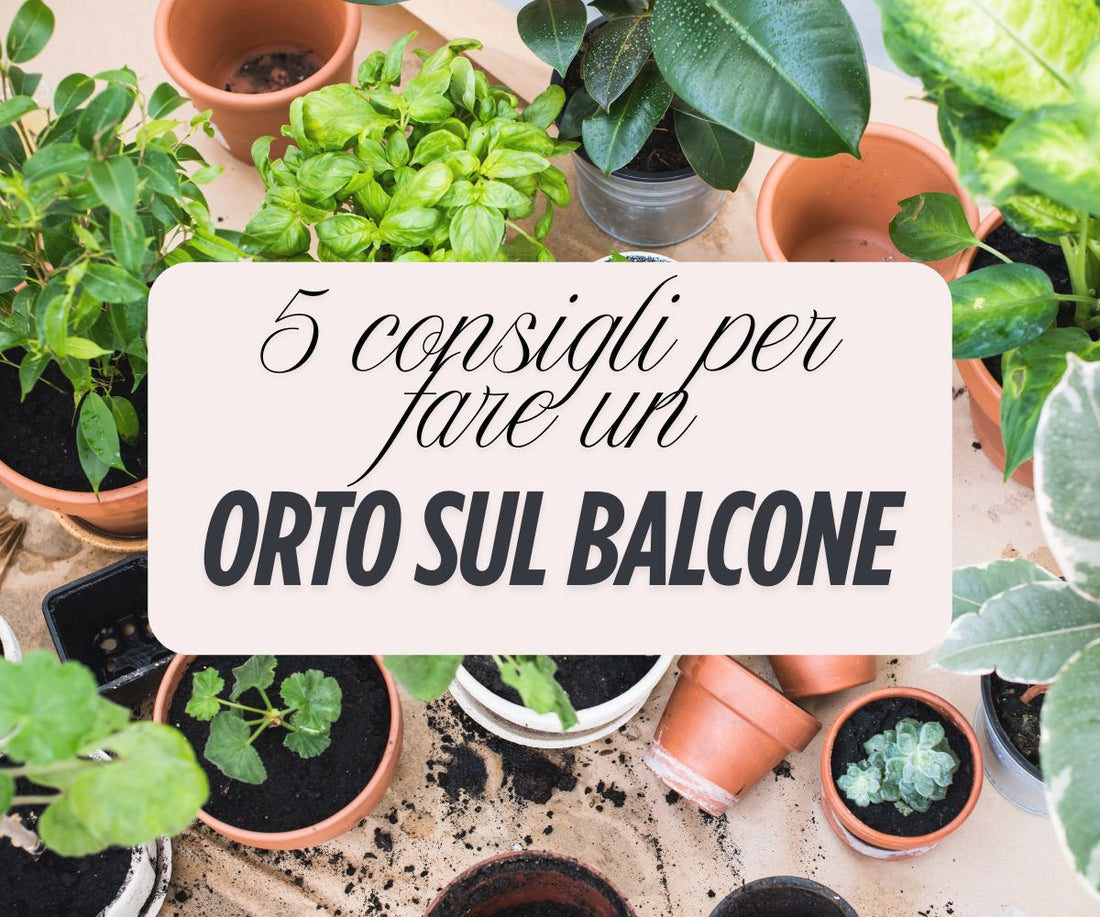 5 consigli per fare l'orto sul balcone