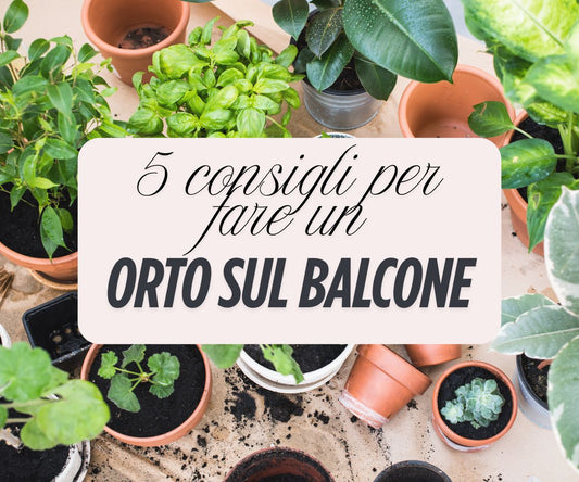 5 consigli per fare l'orto sul balcone