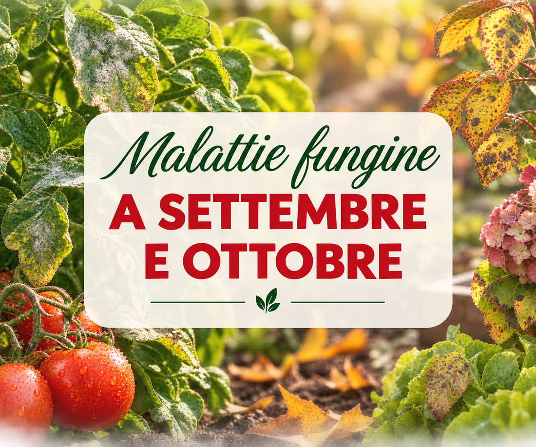 Come proteggere orto e giardino in autunno dalle malattie fungine