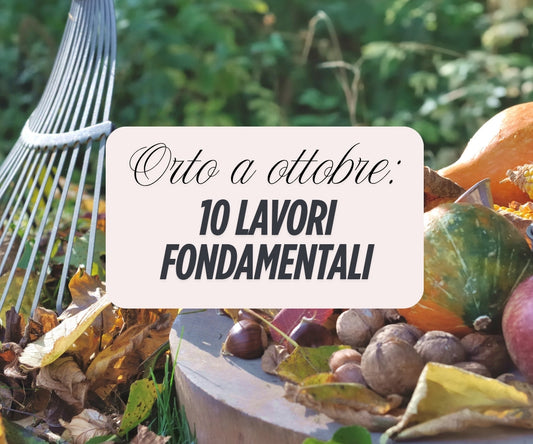 Orto a ottobre: cosa fare, cosa seminare e cosa raccogliere