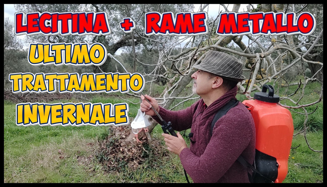 TRATTAMENTO INVERNALE PER ALBERI DA FRUTTO - I CONSIGLI DI PIERGIORGIO CECCARELLI