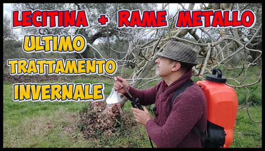 TRATTAMENTO INVERNALE PER ALBERI DA FRUTTO - I CONSIGLI DI PIERGIORGIO CECCARELLI