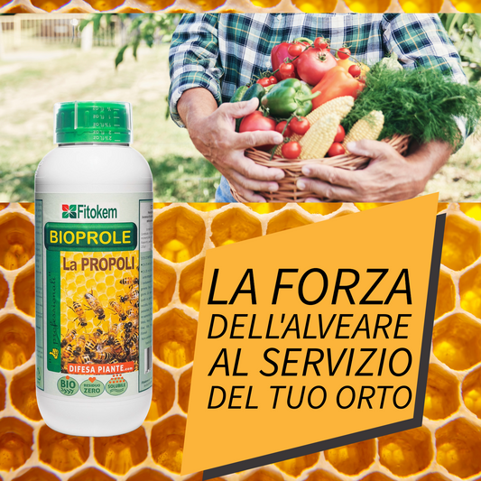Propoli BIOPROLE 1KG | Corroborante Per piante | Aiuto per la pianta contro stress|Fitokem
