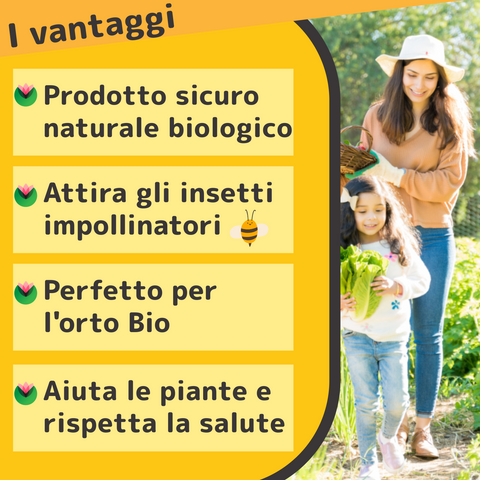 Propoli BIOPROLE 1KG | Corroborante Per piante | Aiuto per la pianta contro stress|Fitokem