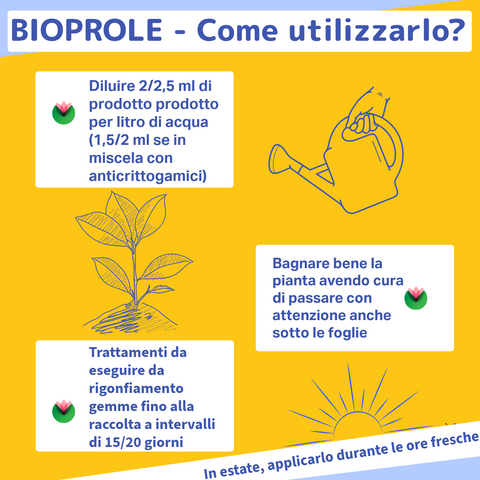 Propoli BIOPROLE 1KG | Corroborante Per piante | Aiuto per la pianta contro stress|Fitokem