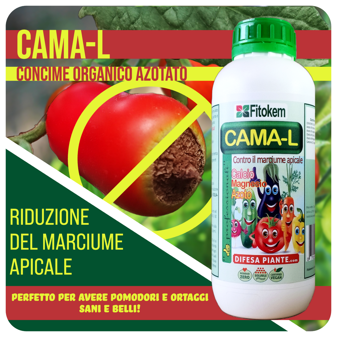 Set di 2 supporti resistenti per vasi da 30,5 cm, per giardino, patio, piante in vaso, 2 pezzi 30 x 30 x 2 cm, 2 pezzi