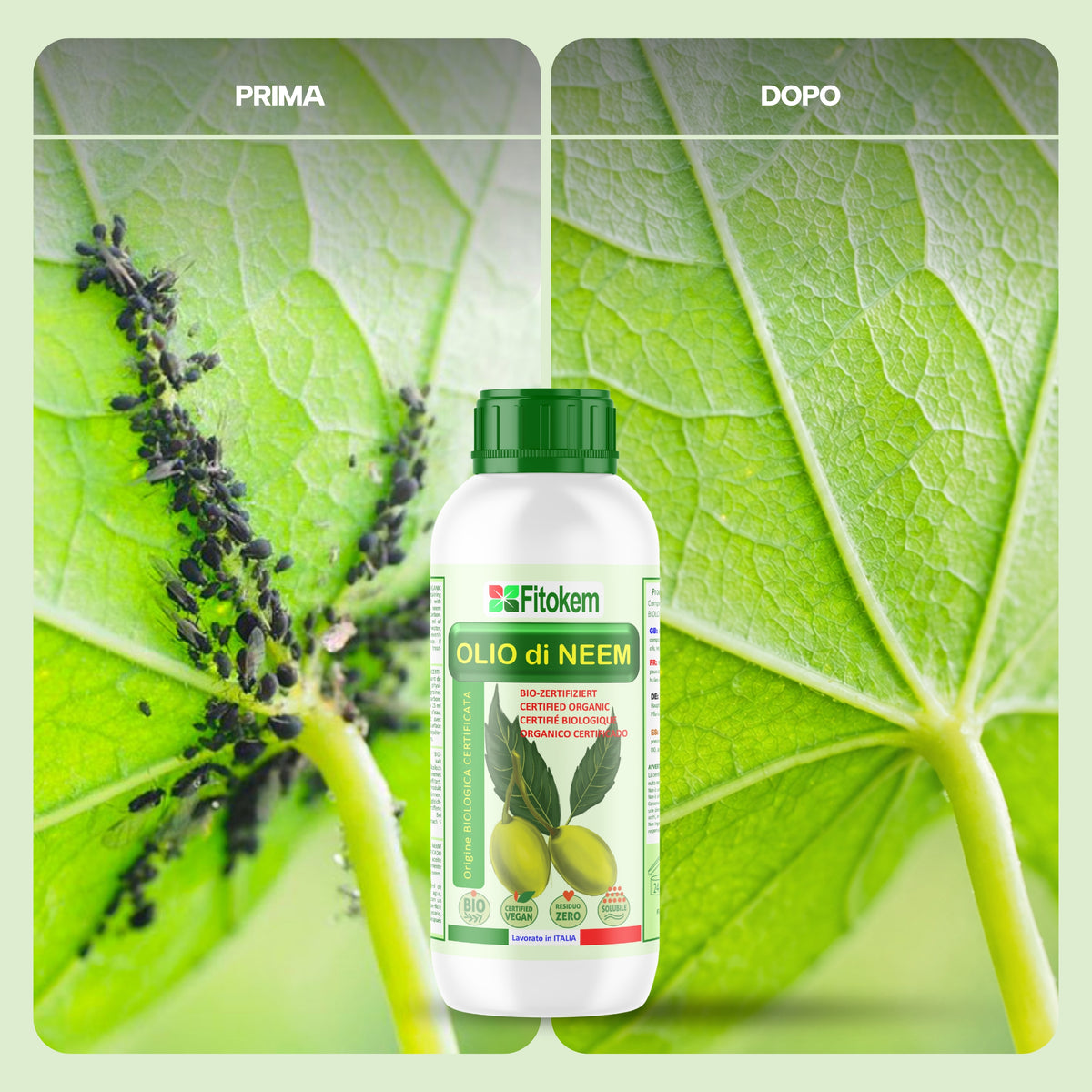 KIT Olio di Neem Biologico 1L + Sapone molle 1L + Rame protezione 1L