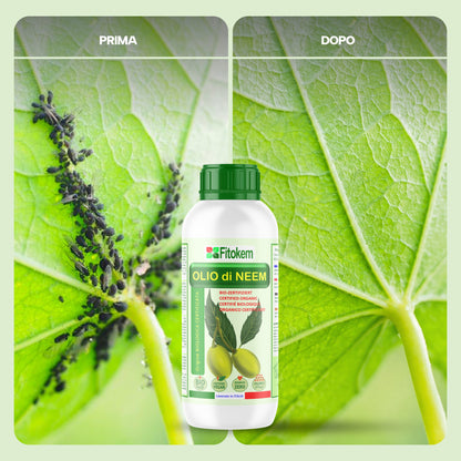 KIT Olio di Neem Biologico 1L + Sapone molle 1L + Rame protezione 1L