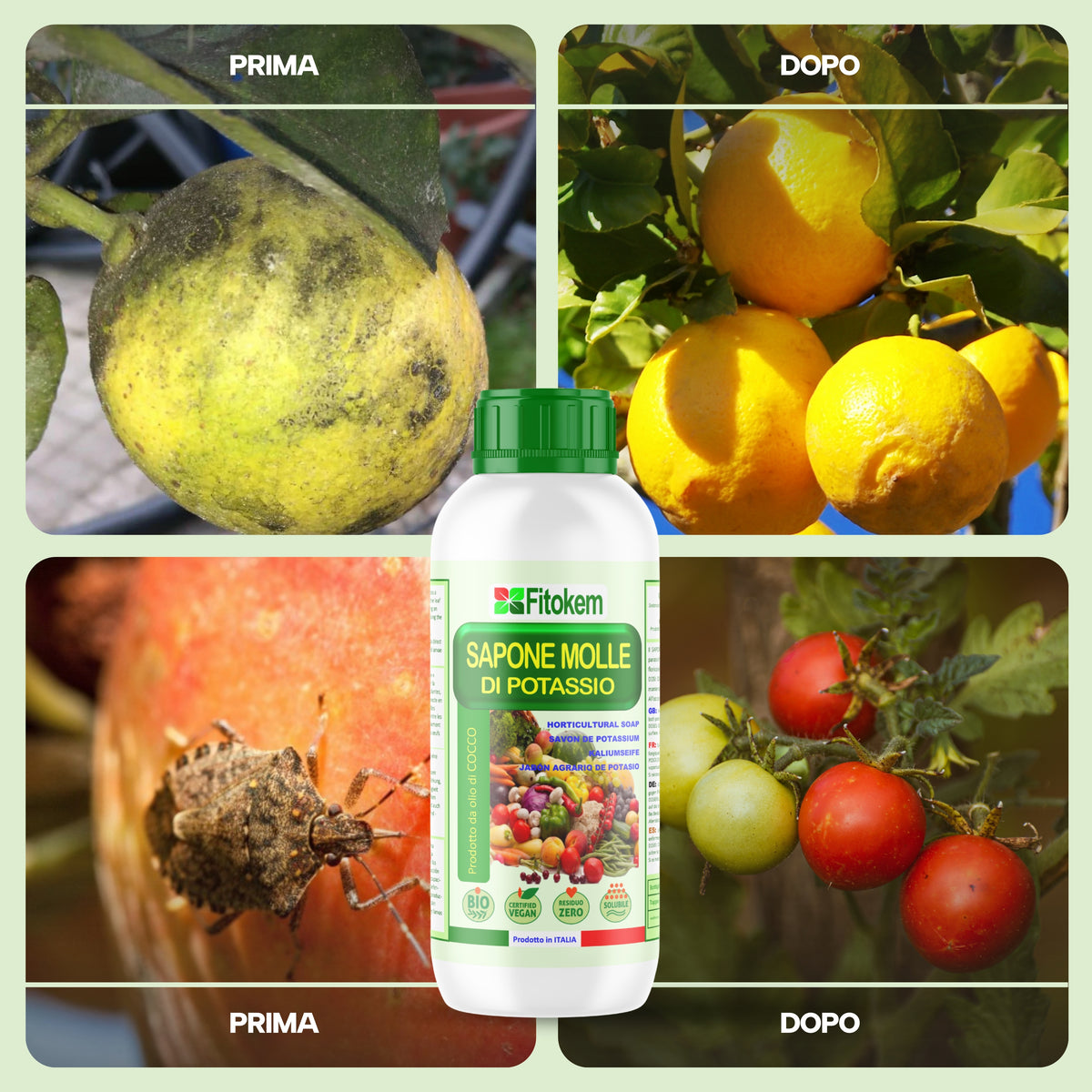 Kit Fitokem con Sapone Molle di Potassio 1 L per la cura delle piante di orto e giardino