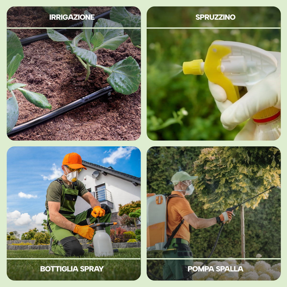 Kit Fitokem con Olio di Neem solubile 1 L, Sapone Molle di Potassio 1 L per la cura delle piante di orto e giardino