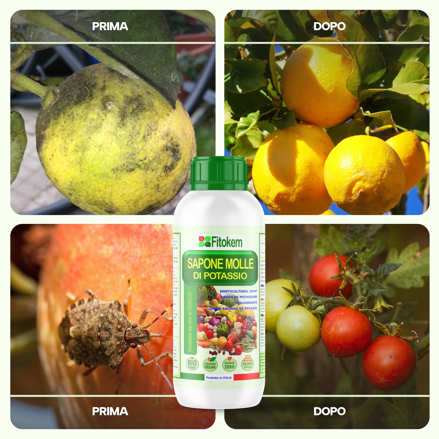 Sapone molle di potassio | Per piante | Fitokem