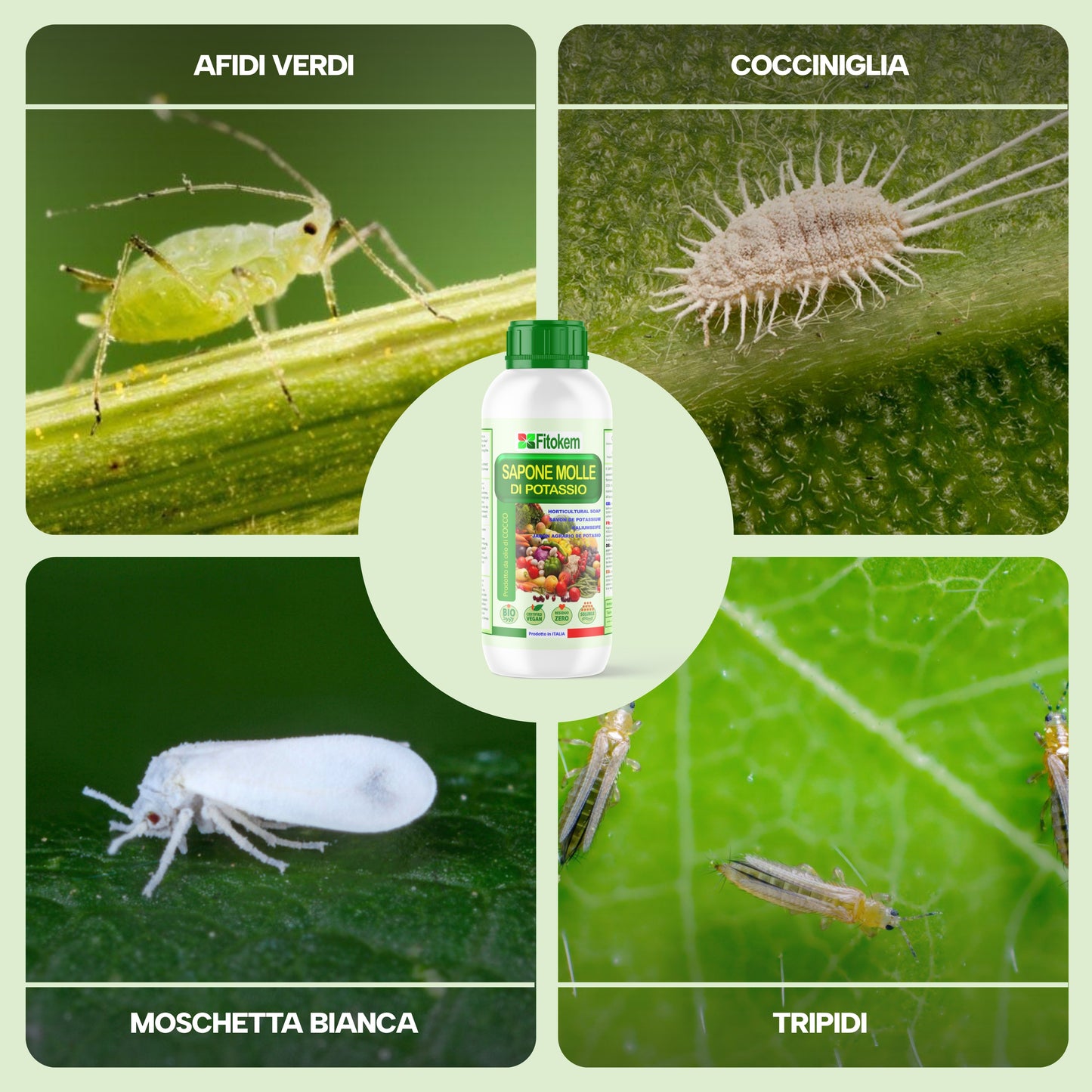 Sapone molle di potassio | Per piante | Fitokem