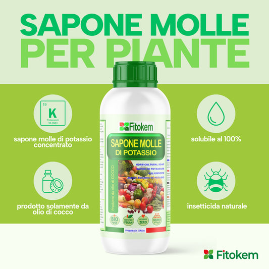 Sapone molle di potassio | Per piante | Fitokem