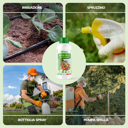 Sapone molle di potassio | Per piante | Fitokem