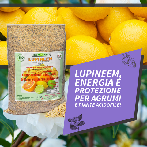 Lupini Macinati Per Agrumi E Acidofile - Concime Biologico 1.5L, Made In Italy - Foto 5