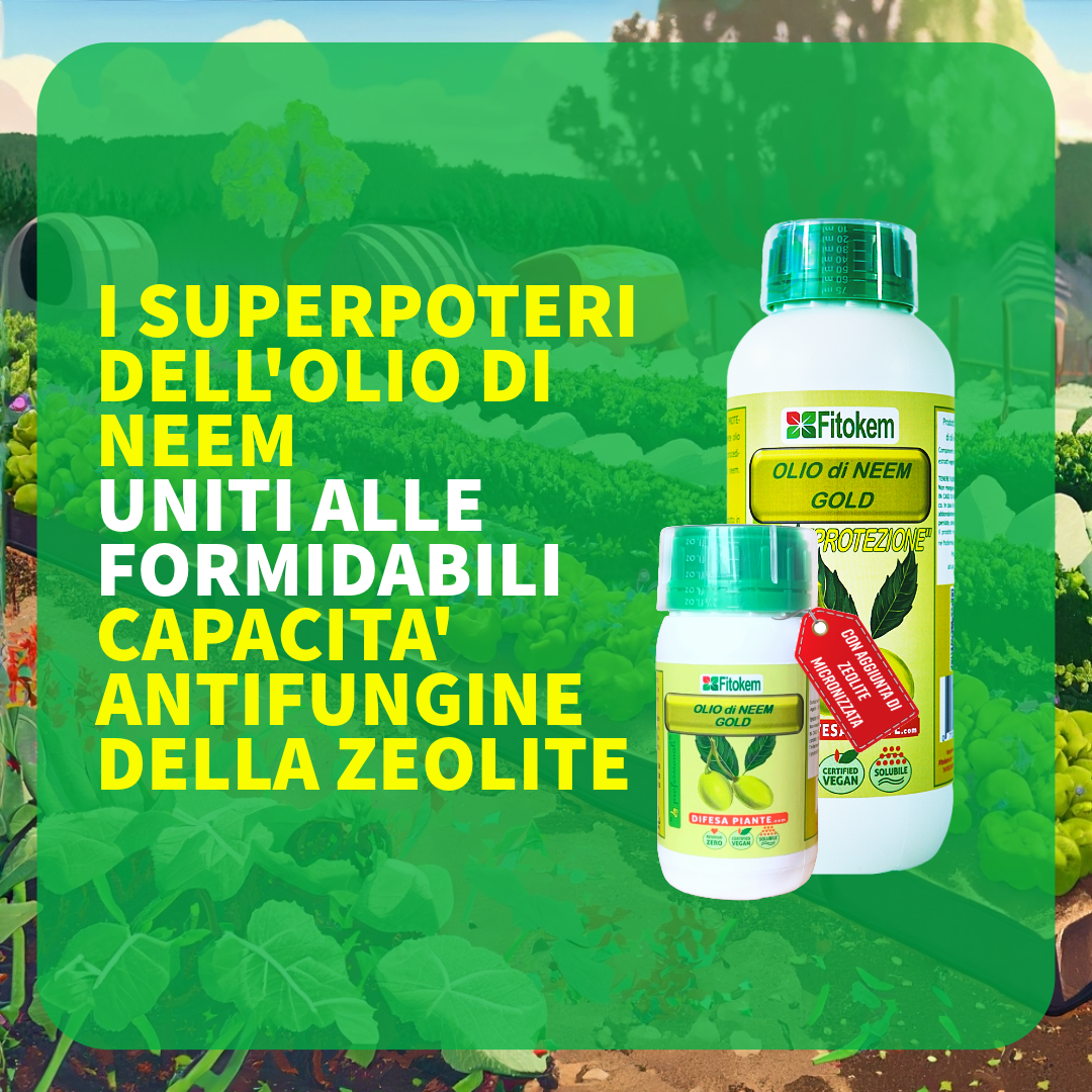 Olio di Neem Gold Biologico | Con Zeolite Chabasite | Fitokem