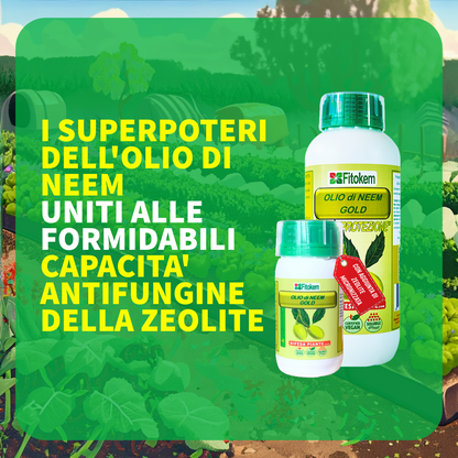 Olio di Neem Gold Biologico | Con Zeolite Chabasite | Fitokem